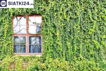 Siatki Bielsk Podlaski - Siatka z dużym oczkiem - wsparcie dla roślin pnących na altance, domu i garażu dla terenów Bielska Podlaskiego